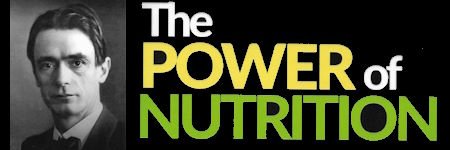 The Power of Nutrition